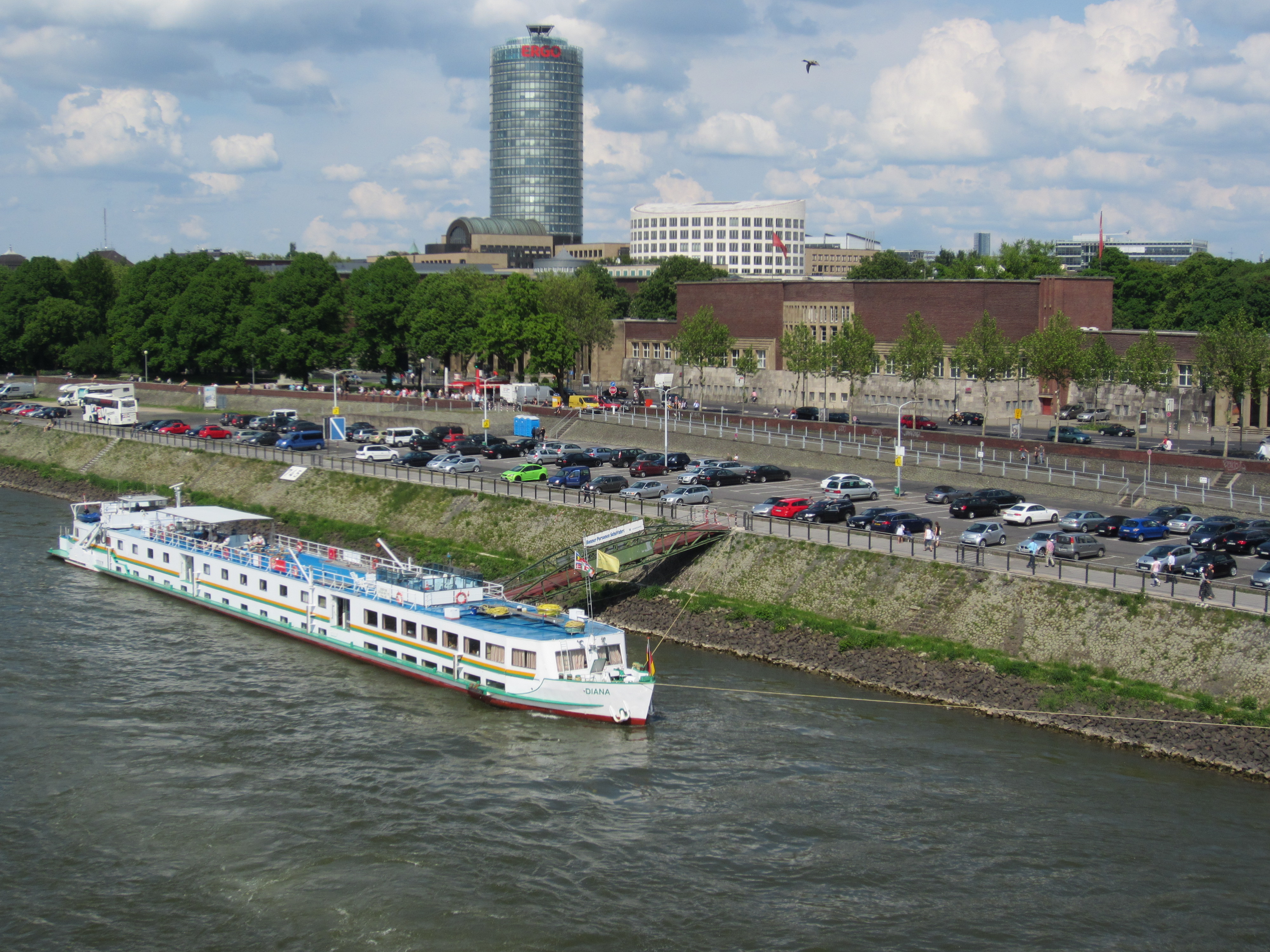 Rhine